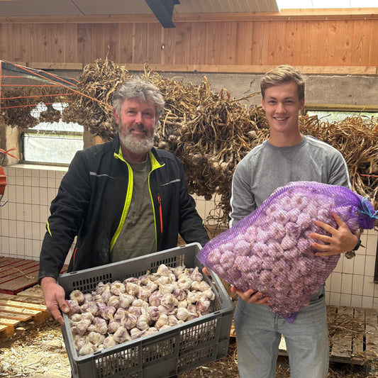Twentse knoflook uit Zenderen: hoe boer Arjan Bonthuis een stukje Frankrijk naar Twente haalde