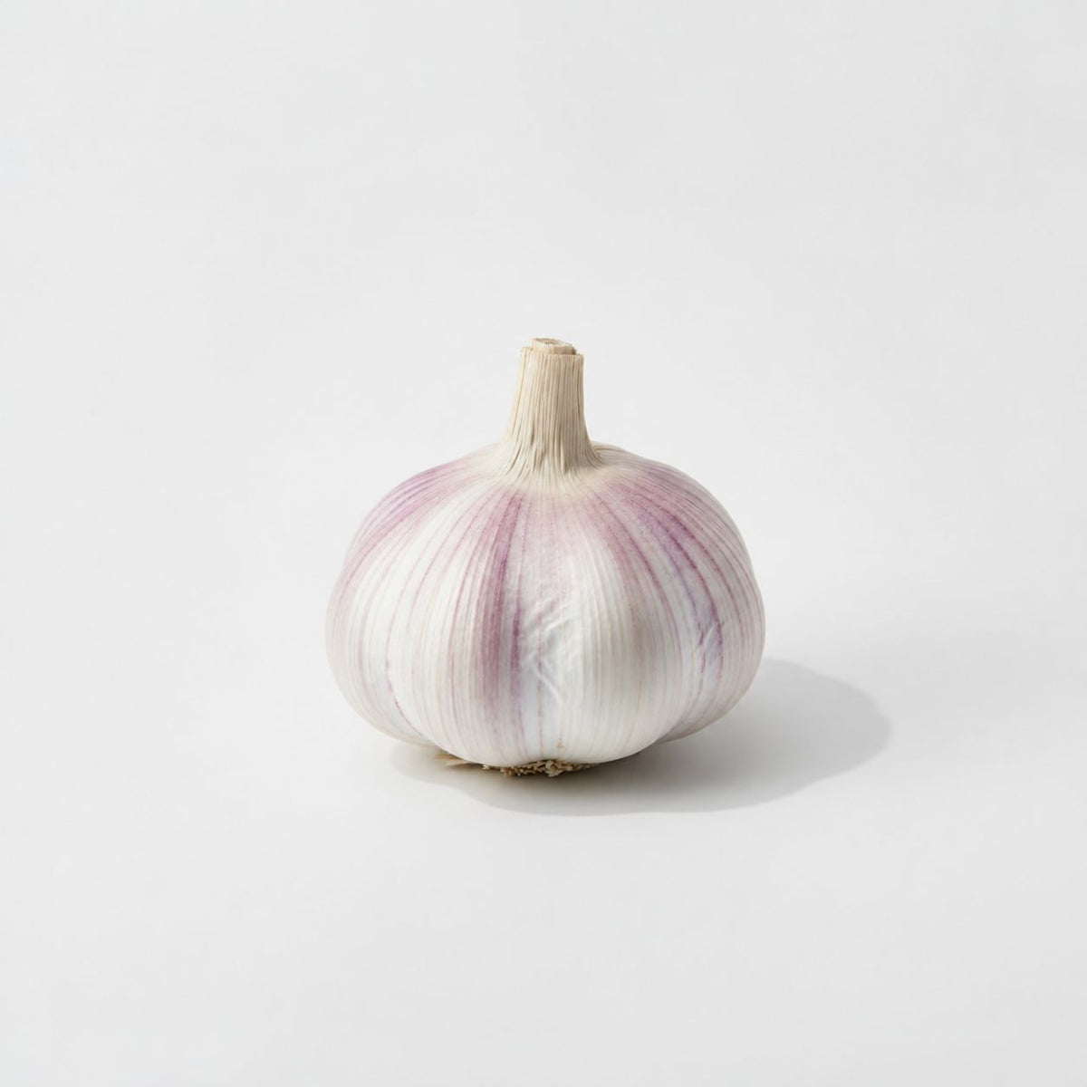 Paarse knoflook