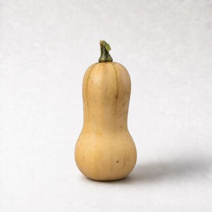Butternut pompoen - 1 stuk