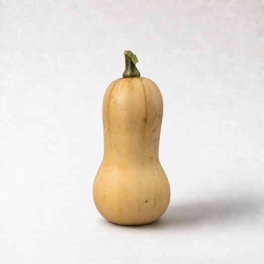 Butternut pompoen - 1 stuk
