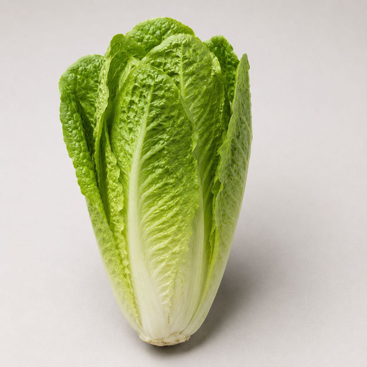 Groenlof