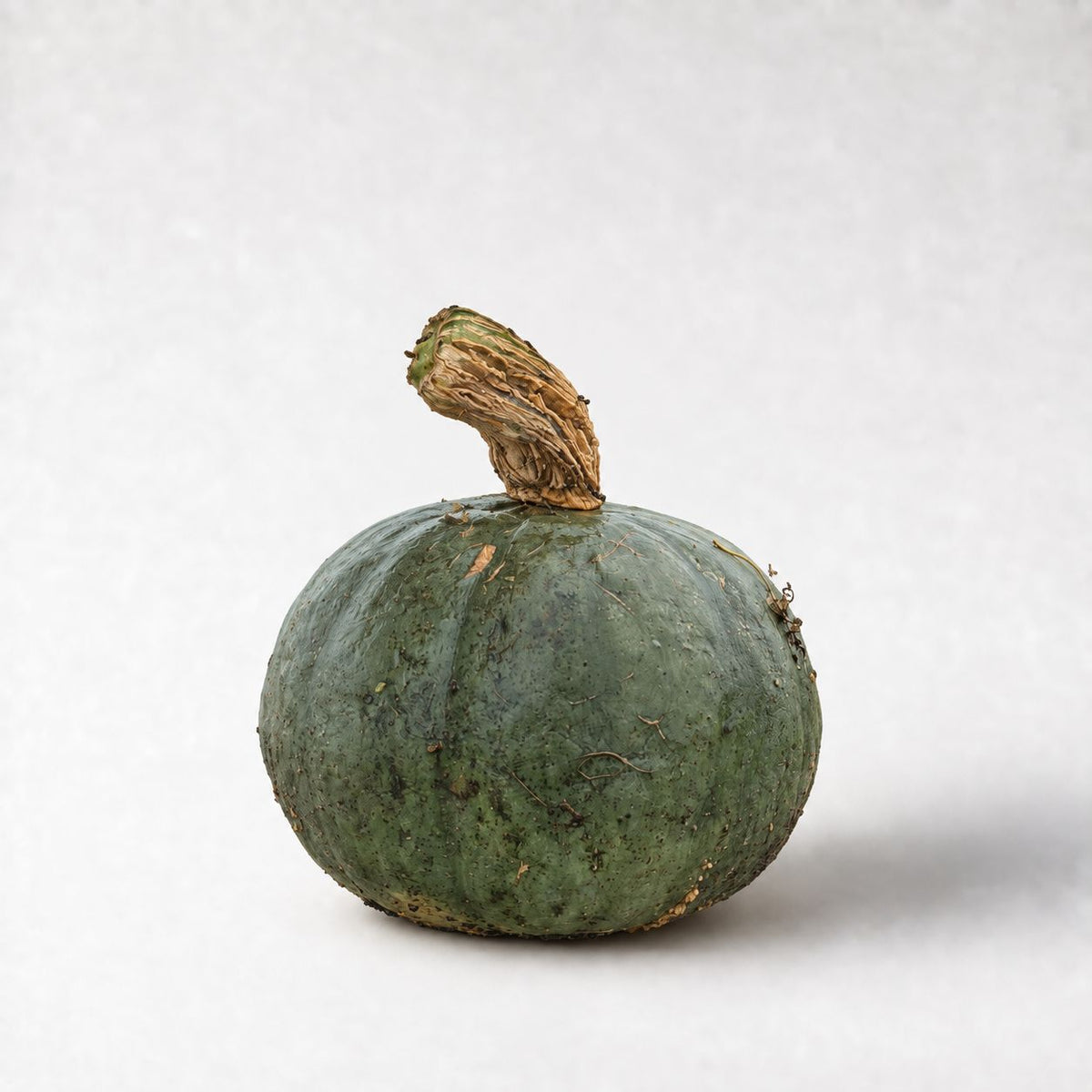 Groene pompoen - 1 stuk