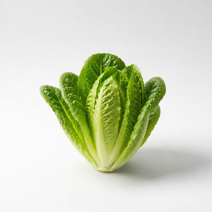 Romaine sla