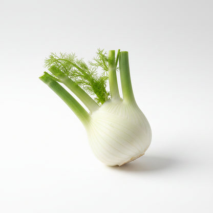 Venkel met loof vers product uit Twente - Van Twentse Bodem