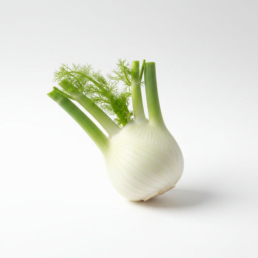 Venkel met loof vers product uit Twente - Van Twentse Bodem