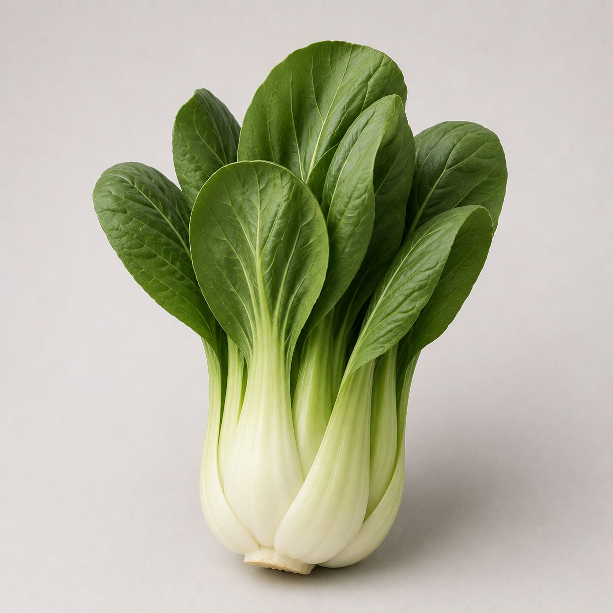 Paksoi