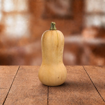 Butternut pompoen - 1 stuk