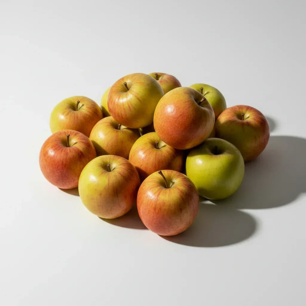 Elstar appels vers product uit Twente - Van Twentse Bodem