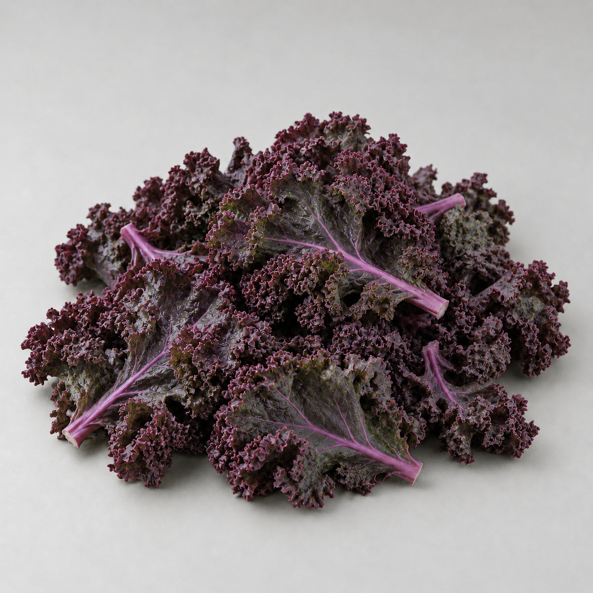 Paarse boerenkool (losse bladen) - 300 gram vers product uit Twente - Van Twentse Bodem