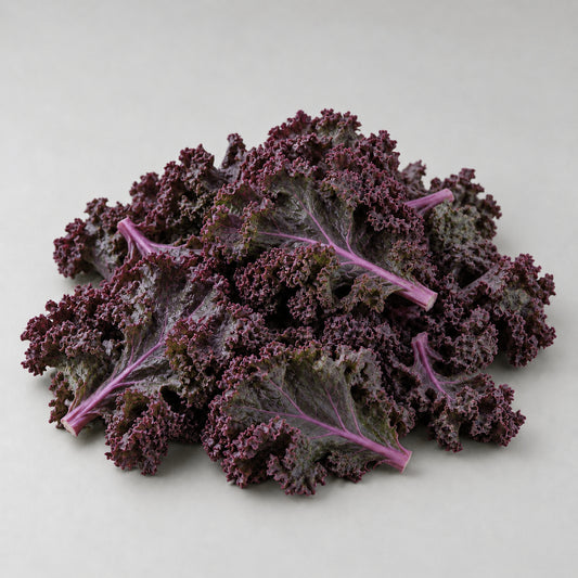 Paarse boerenkool (losse bladen) - 300 gram vers product uit Twente - Van Twentse Bodem
